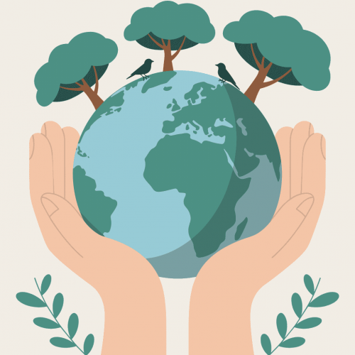 Protecting Your Wealth with Offshore Trusts